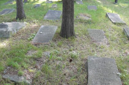 Tombes entourant un arbre dans le cimetière juif de Split en Croatie
