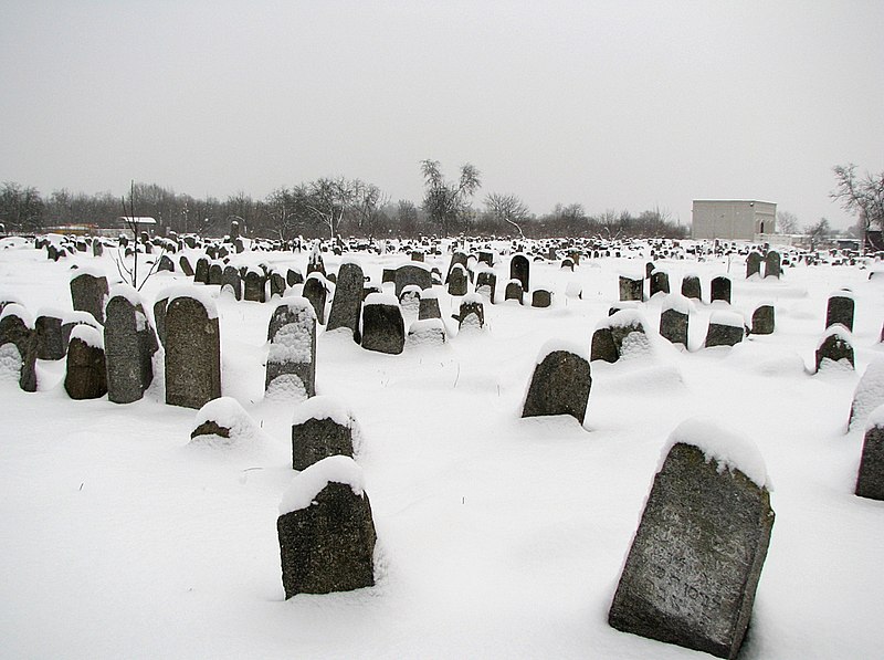 The large Jewish cemetery in Berdichev is impressive, with beautiful old graves often overgrown with vegetation.