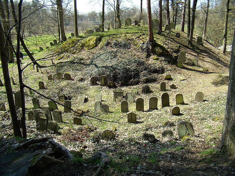 Vue du cimetière juif de Chodova entouré d'arbres