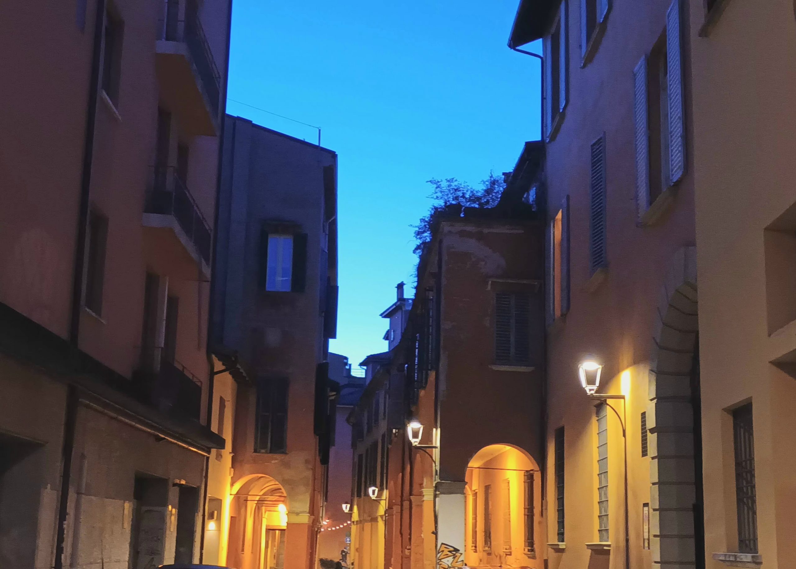 Bologna jewish heritage, history, synagogues, museums, areas and sites to visit